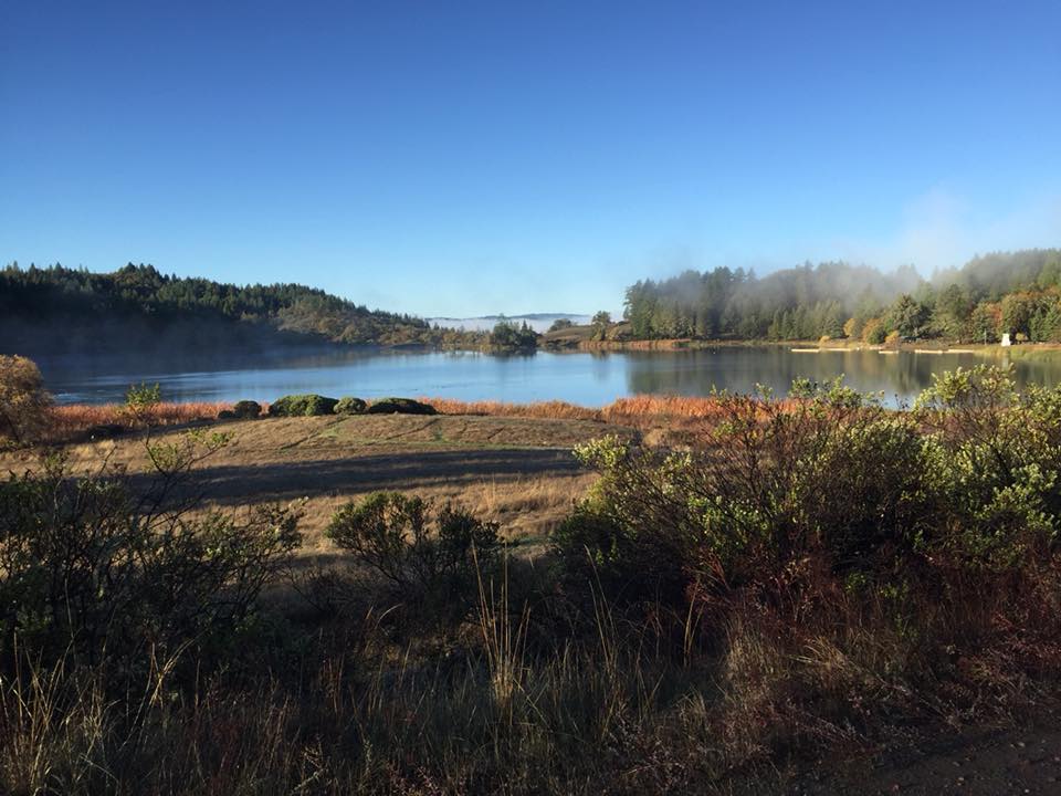 Landscape picture of camp looking west across the lake as the fog burns off.