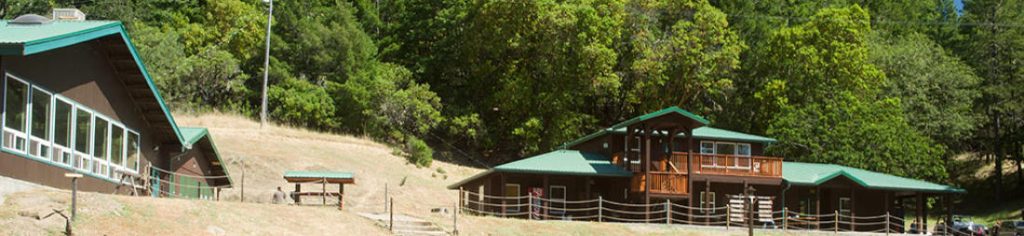 Wente's "downtown" area with Dining Hall on the left and Admin Building on the right.