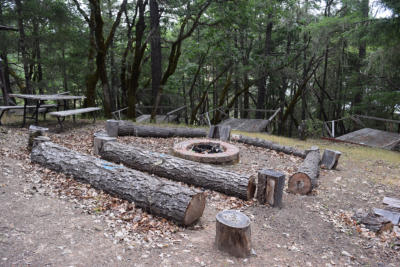 Moss Shadows campsite fire ring and log seating.