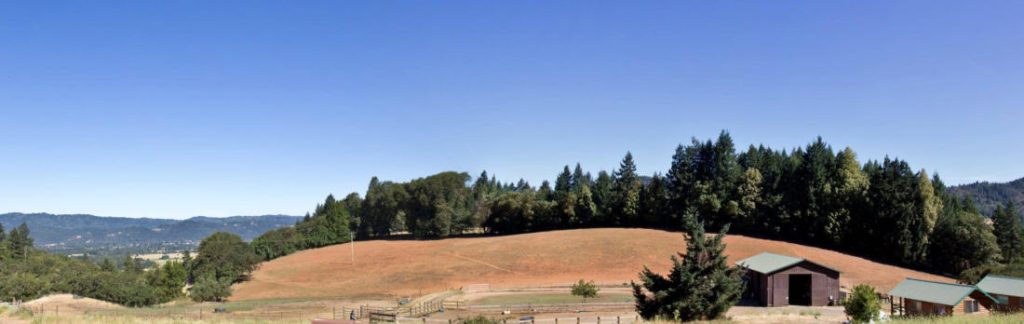 Risin' W Corral riding arena and main pasture.