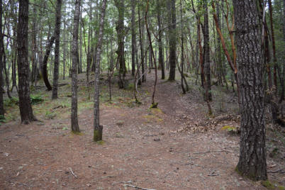 Trail up into Trail's End campsite.