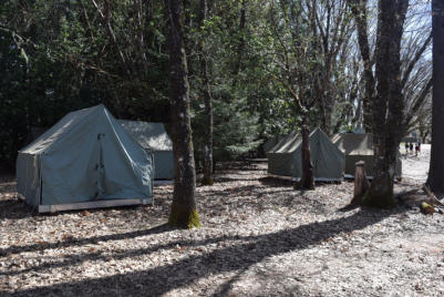 Coming into Turkey's Roost campsite off trail from Gilwell Field.